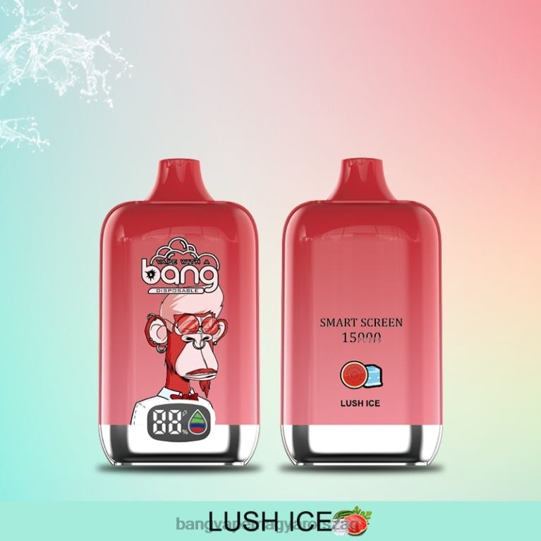 egyszer használatos Bang Vape Digital Smart Screen 15000 felfújás 25ml - best Bang Vape flavor 44PZB11