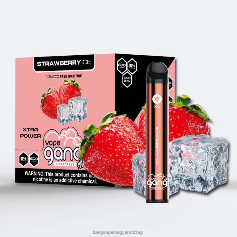 eper jég Vape Gang XL eldobható vape 600 fújás (10 db-os doboz) - Bang disposable vape flavors 44PZB78