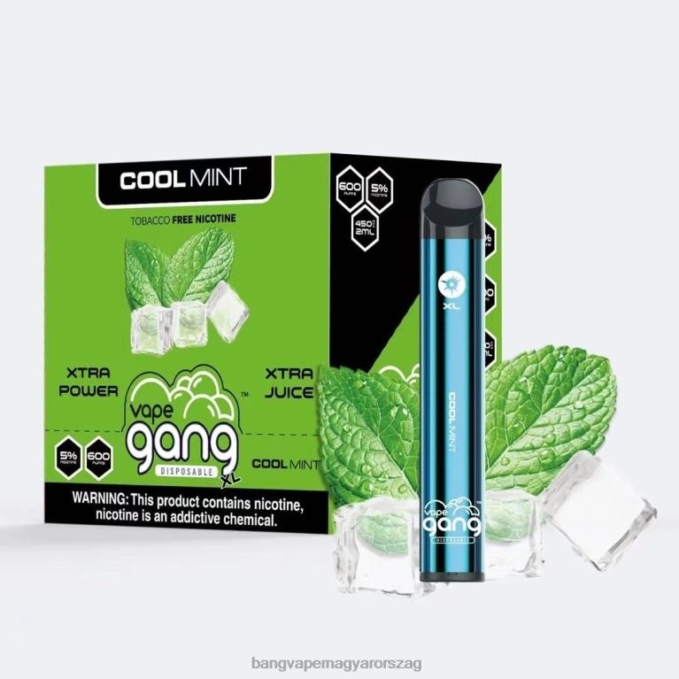 hűvös menta Vape Gang XL eldobható vape 600 fújás (10 db-os doboz) - Bang disposable vape review 44PZB79